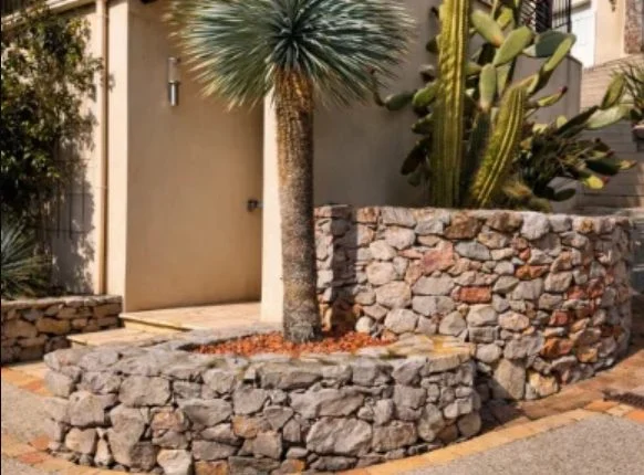 Muret courbe en pierre naturelle, yucca et cactus en entrée de villa