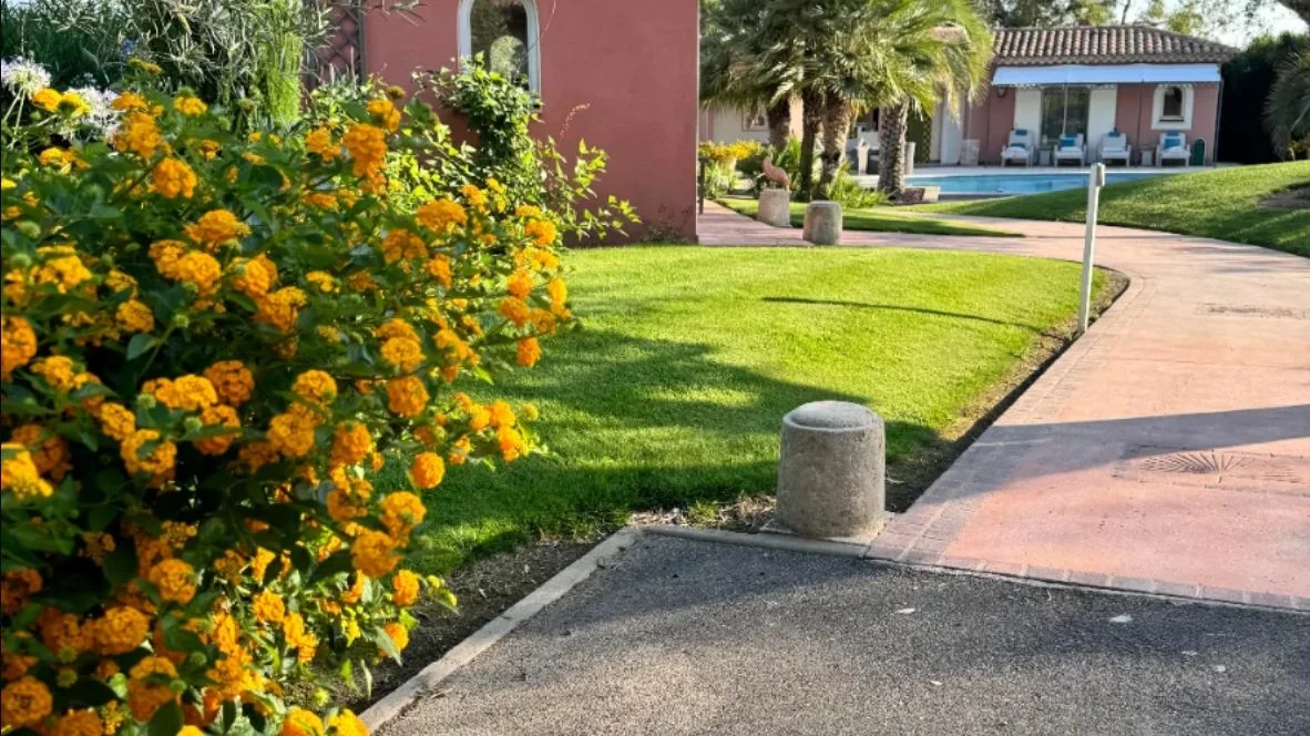 Allée carrossable en béton désactivé teinté, bordures et massif de lantanas