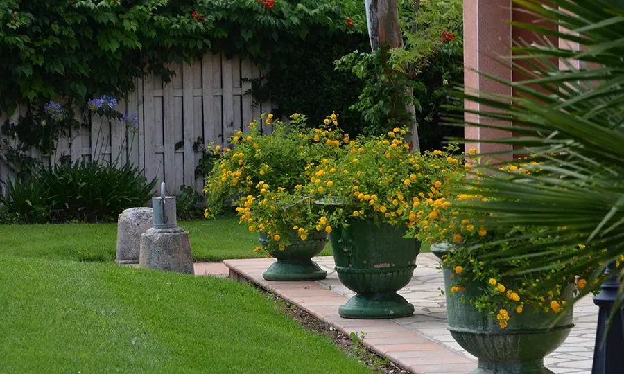 Entretien de pelouse et d'espaces verts par nos équipes dans l'Hérault