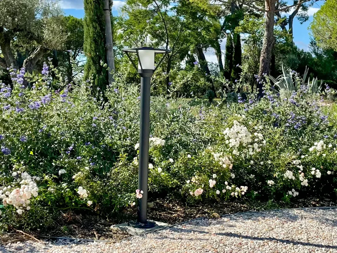 Borne d'éclairage extérieur installée dans un massif de rosiers et de plumbagos