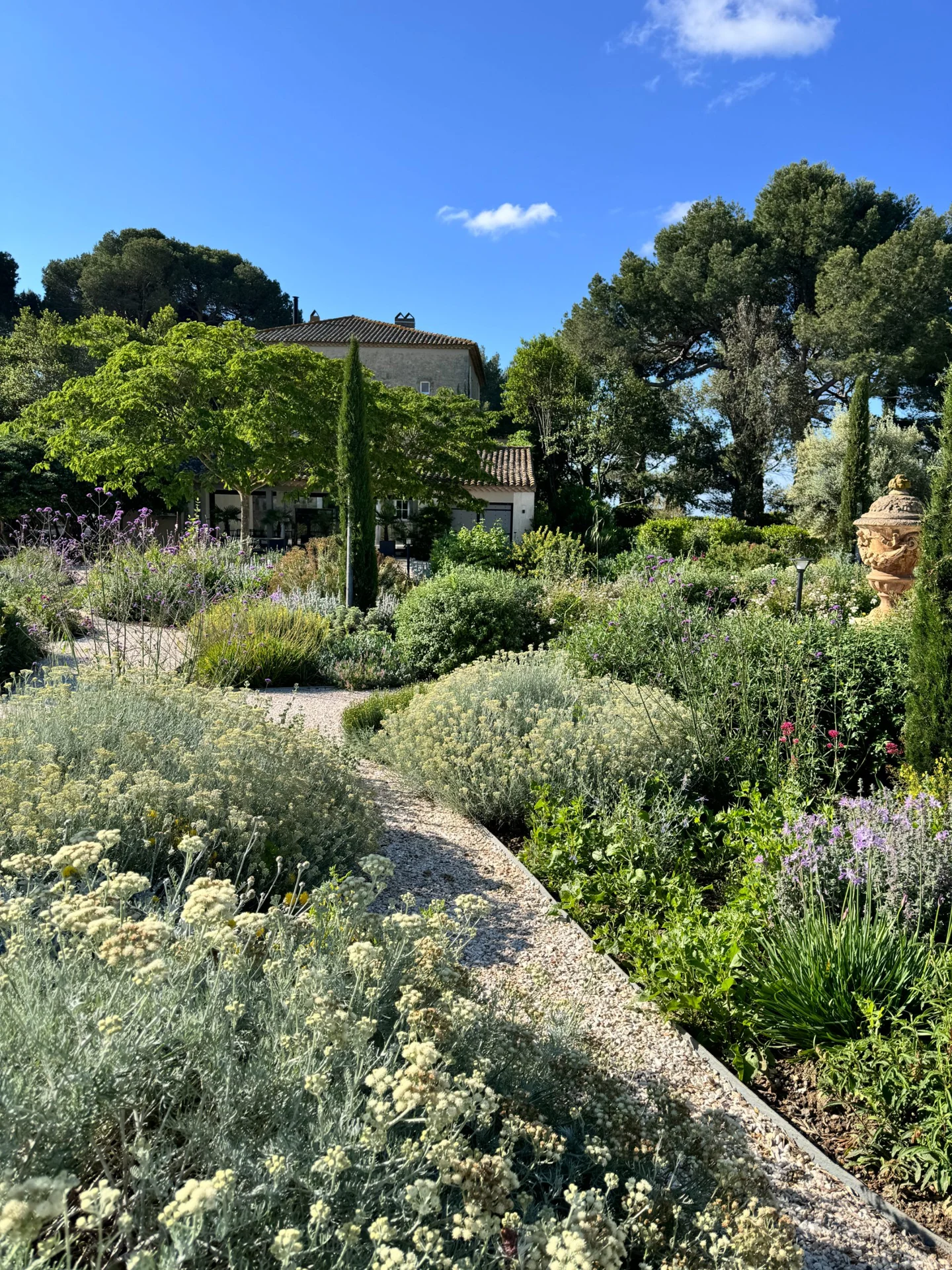 Massifs de végétaux méditerranéens adaptés au climat sec de l'Hérault