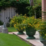 creation-pelouse-gazon-jardin-paysagiste-pezenas-01